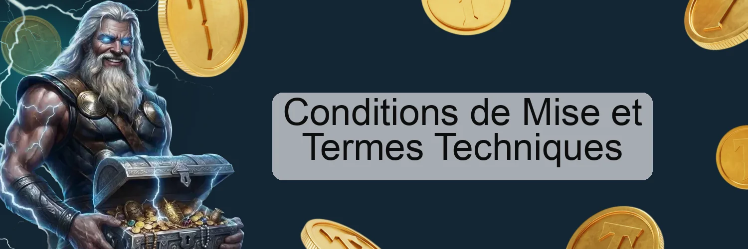 Conditions de Mise et Termes Techniques Conditions de Mise et Termes Techniques